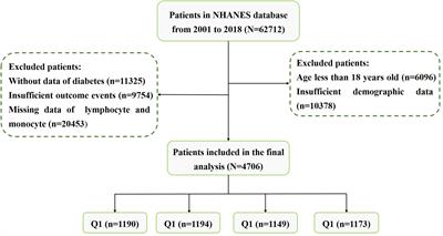 The association between lymphocyte-to-monocyte ratio and all-cause mortality in obese hypertensive patients with diabetes and without diabetes: results from the cohort study of NHANES 2001–2018